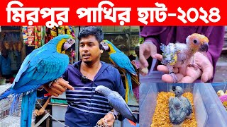 মিরপুর পাখির হাট২০২৪  bird market 2024  bangladesh bird market  Mirpur pakhir hat [upl. by Etnasa]