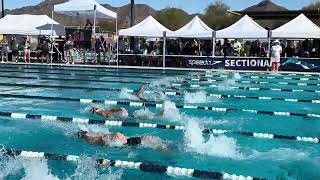 Spring Sectionals Phoenix AZ 100BK LCM  10946 [upl. by Alemak]