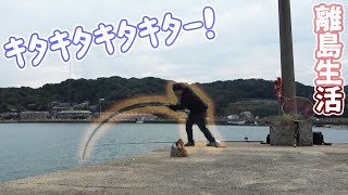 ウキ釣りしてたら水面で捕食が始まりジグを投げたら今年初のあの魚が喰ってきた！！！ [upl. by Ainitsirc]