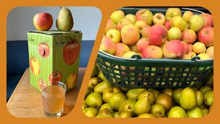 ApfelBirnensaft selbstgepresst 🍎🍐 [upl. by Hanahs]