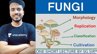 Fungi  morphology of fungi  classification of fungi  reproduction of fungi  cultivation of fungi [upl. by Stanislaw]