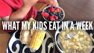 What My KIDS Eat in a Week Part 2 [upl. by Tham]