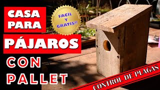 COMO CONSTRUIR UNA CASA PARA PÁJAROS [upl. by Ginsburg]