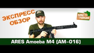 Обзор Amoeba M4 AM016 от ARES [upl. by Ayra211]