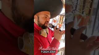 Continúan las serenatas en Talca y alrededores con mariachi auténtico Jalisco de Talca 9 2624 2064 [upl. by Aehsila]