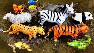 Learn Wild Zoo Animals For Children Safari Animal Names Educational Toy Videos For Kids [upl. by Einnor]