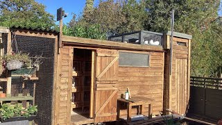 Tippler pigeon loft and kit box measurements [upl. by Notnil]