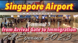 Singapore Changi Airport T3 from Arrival Gate to Immigration Full Experience 2023 [upl. by Clevie805]