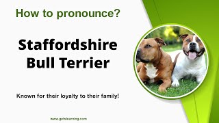 How to pronounce Staffordshire Bull Terrier in English correctly [upl. by Sihun42]