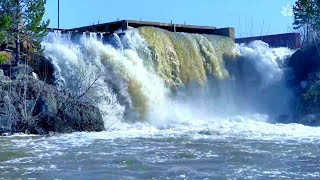 Large and Powerful Waterfall Sounds Water flowing 10 hours [upl. by Eiveneg257]