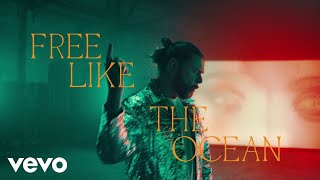 Rea Garvey  Free Like The Ocean Official Music Video [upl. by Wertheimer]