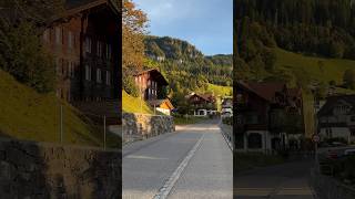 Switzerland village Beatenberg nature swissbeauty switzerland mountains beautiful alps [upl. by Quillan]