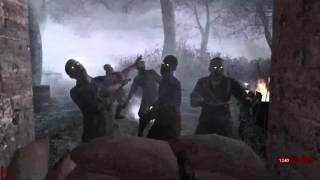 How to play Nazi Zombies Without Beating The Campaign [upl. by Jeconiah811]