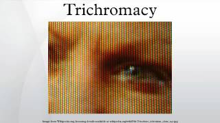 Trichromacy [upl. by Nylasej]