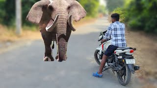 elephant attacks in man l elephant attack on village bays in forest l wild elephant attacks l [upl. by Akinimod]