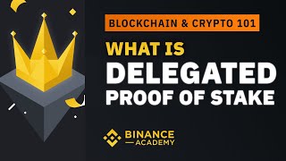 What is Delegated Proof of Stake DPoS ｜Explained For Beginners [upl. by Gautea]