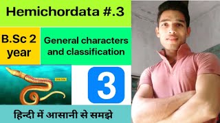 General characters and classification of Hemichordata  BSc 3rd Year Zoology 5th Semester 2nd Paper [upl. by Ailadi]