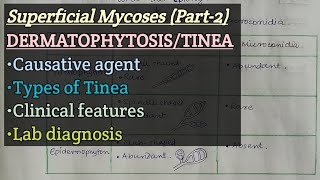 Dermatophytosis  Causative agent  Types of Tinea  Clinical Feature  Lab diagnosis [upl. by Cutter]