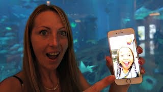 Calling Tiana On Facetime Giant Aquarium [upl. by Goldman490]