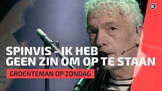 Spinvis live met Ik heb geen zin om op te staan  Groenteman op zondag [upl. by Ontine888]