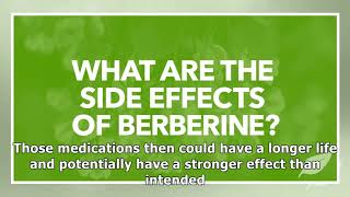 Are There Side Effects of Berberine Supplements [upl. by Aicirpac412]