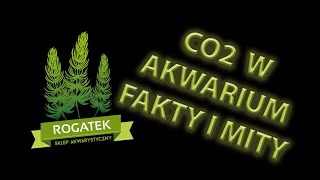 24 CO2 w akwarium  fakty i mity [upl. by Aiasi]