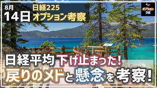 【日経225オプション考察】814 日経平均 下げ止まった！ 戻りのメドと今週の懸念を考察！ [upl. by Uok]