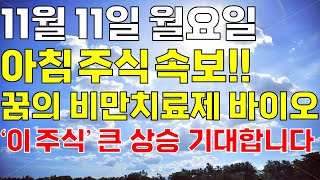 11월 11일 월요일 아침 주식방송ㅣ트럼프가 밀어주는 꿈의 비만치료제 신약 이 주식 한 주라도 더 사세요 순식간에 급등할겁니다 개미 다 털렸고 급등 임박 대박종목 대장주 [upl. by Leckie599]