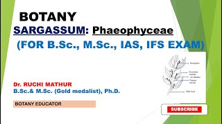 Sargassum Thallus Reproduction and its Life Cycle [upl. by Amrita]