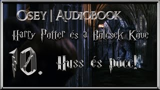 Harry Potter és a Bölcsek Köve hangoskönyv  10 fejezet [upl. by Hutchings]