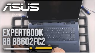 Asus ExpertBook B6 B6602FC2 von innen  RAM SSD Akku Lüfter wechseln [upl. by Nnyltak]