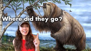 How Did Pleistocene Megafauna Go Extinct GEO GIRL [upl. by Charles]