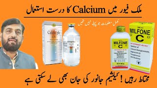 Milk Fever  کیلشیم کتنی لگائیں  Best Calcium کون سی ہے  Why Animals Died During Calcium Therapy [upl. by Littlejohn]