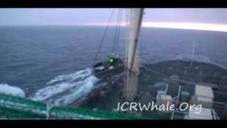 February 9 2011 Gojira Attacks Nisshin Maru With Flares Ropes And Smoke Bombs [upl. by Rapsac]