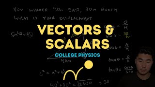 Vectors amp Scalars [upl. by Airitak]