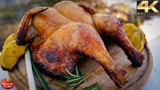 Primitive Cooking in 4K  EPIC Grilled Whole Chicken [upl. by Frederiksen]