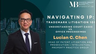 Navigating IP Trademark Litigation 101 Understanding Court Cases vs Office Proceedings [upl. by Sito]