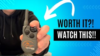 Review of SportDOG Brand FieldTrainer 425X Dog Training Collar [upl. by Gallagher680]