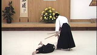 1988 Shihankai Public Demonstration 05 Shihan Seiichi Sugano [upl. by Kunkle]