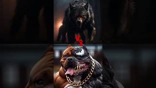 👑 pitbull vs wolf dog 😱😱😱  kon jitega  viral facts pitbull youtubeshorts dog shorts [upl. by Nolitta]