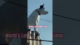 Meet Nipper 4 tons 28’ tall Adorning Albany New York since 1958 [upl. by Lleira777]