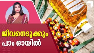 ജീവനെടുക്കും പാം ഓയിൽ കഴിക്കല്ലേ  Palm Oil [upl. by Champagne]