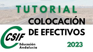 Tutorial Paso a Paso Cómo Rellenar la Solicitud de Colocación de Efectivos 20232024 [upl. by Nasaj]