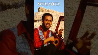 Abraham Afewerki  Wegahta ወጋሕታ 1991 Shorts [upl. by Ribal722]