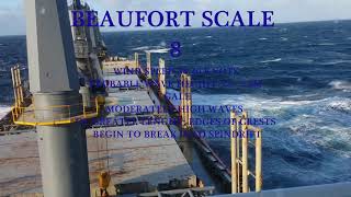 Beaufort Scale 0  12 Crossing Pacific Ocean [upl. by Nylrebmik]