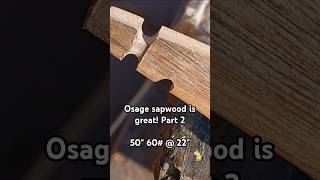 Osage sapwood is great Part 2 [upl. by Acim]