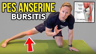 Pes Anserine Bursitis  Knee Rehab Exercises [upl. by Terry]