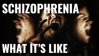 What its like to have schizophrenia [upl. by Yna]