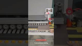 Detailed introduction of fully automatic edge banding machine woodworking [upl. by Tierell406]