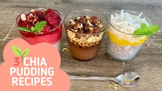 How to Make a Delicious Chia Seeds Pudding That Will Blow Your Mind [upl. by Kirchner162]